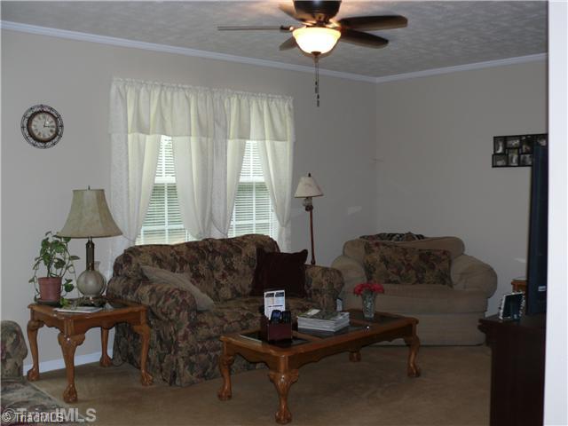 8586 Erect Road Seagrove, NC 27341 - Photo 5 of 14 Living Room. Living room has carpet and ceiling fan