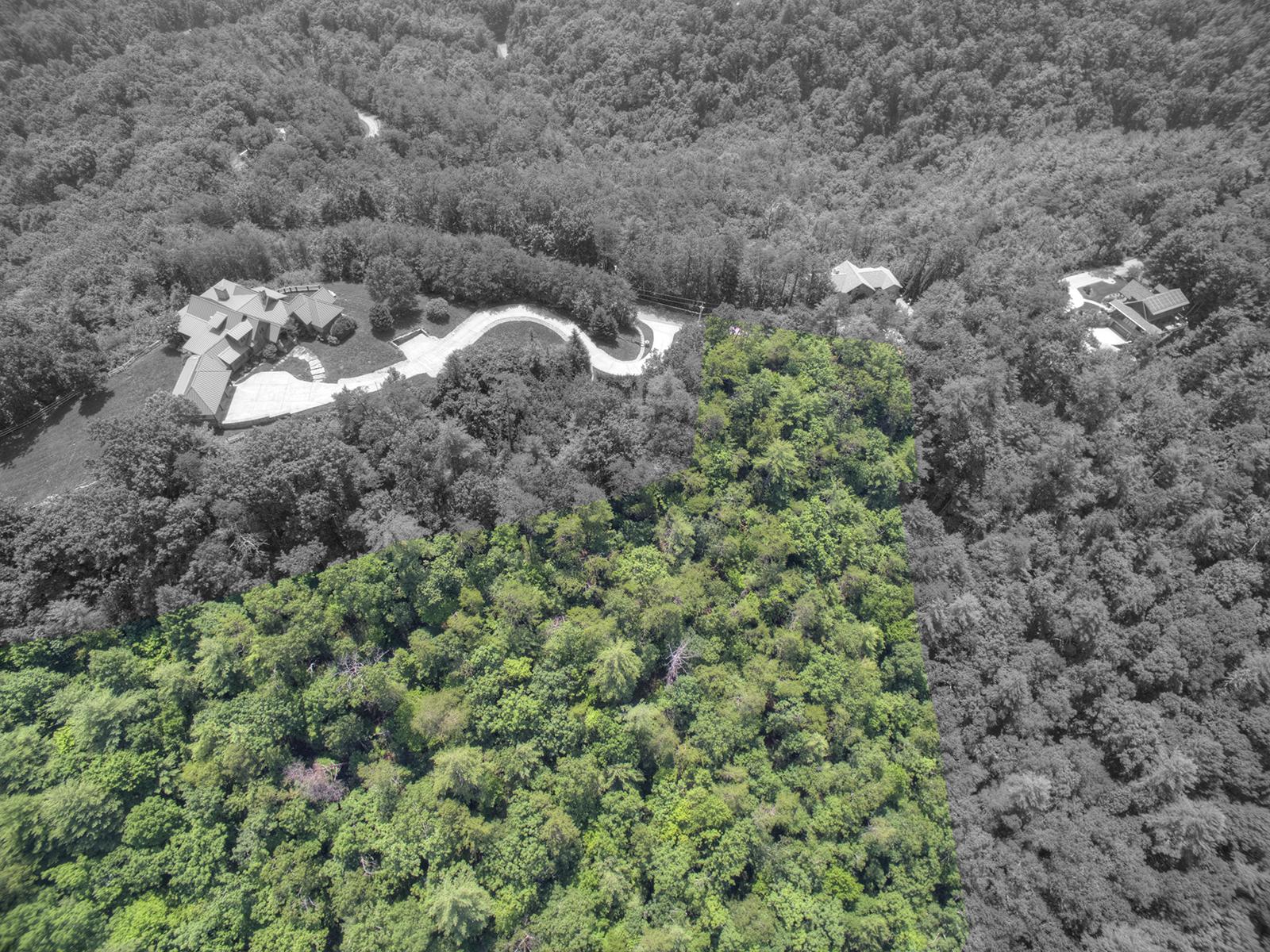 21 R Hawk View Drive Townsend, TN 37882 - Photo 11 of 13 LOT 21R's Neighbor