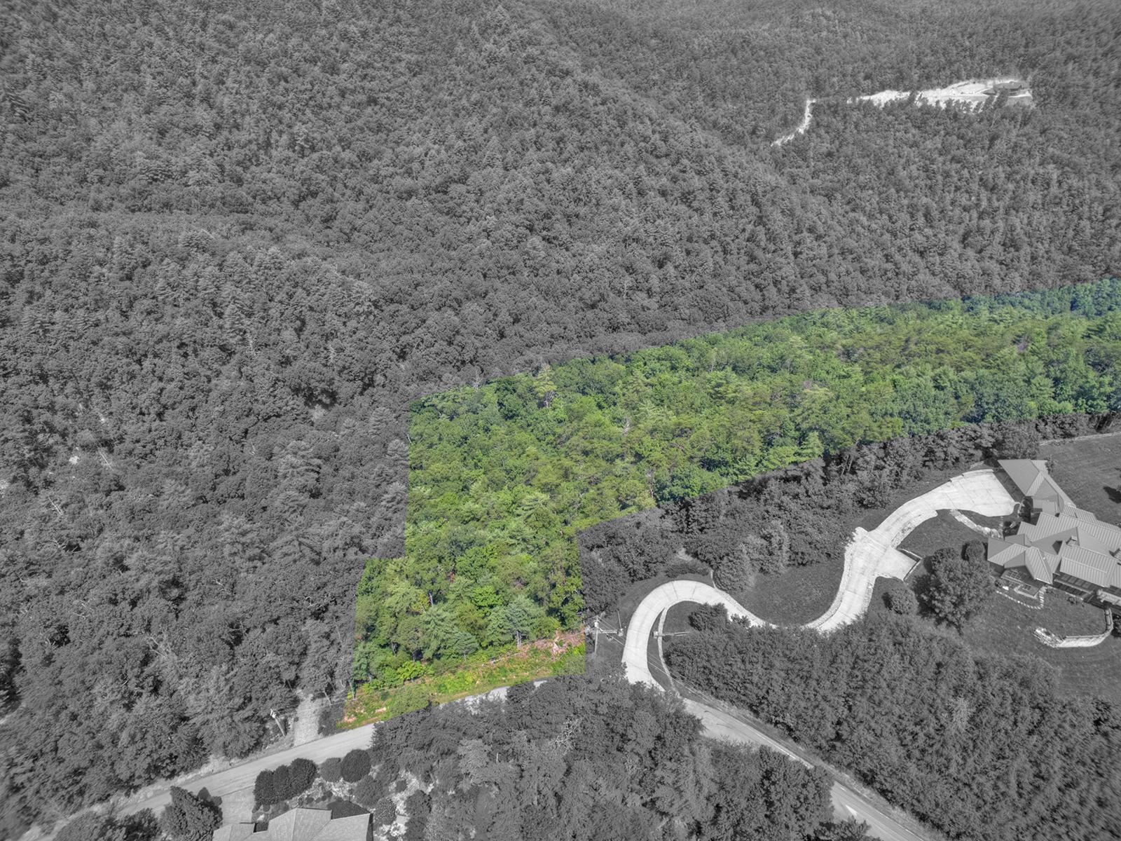 21 R Hawk View Drive Townsend, TN 37882 - Photo 9 of 13 LOT 21R-Nice Building Seat and Views