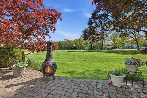 a view of a garden with plants and large trees