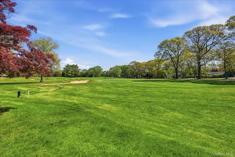 a view of a grassy field with trees