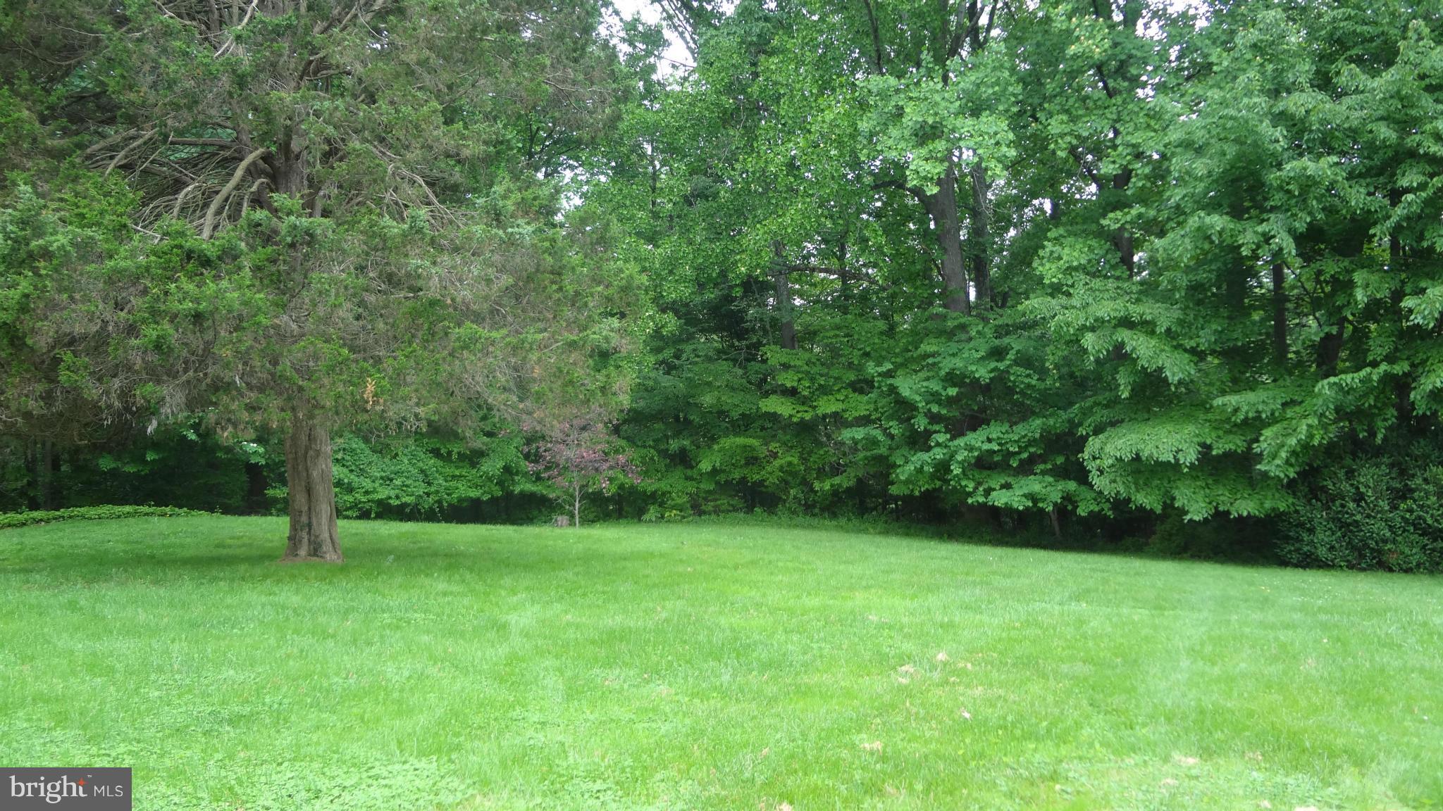 720 West Ring Factory Road Bel Air, MD 21015 - Photo 24 of 27 View - Backyard