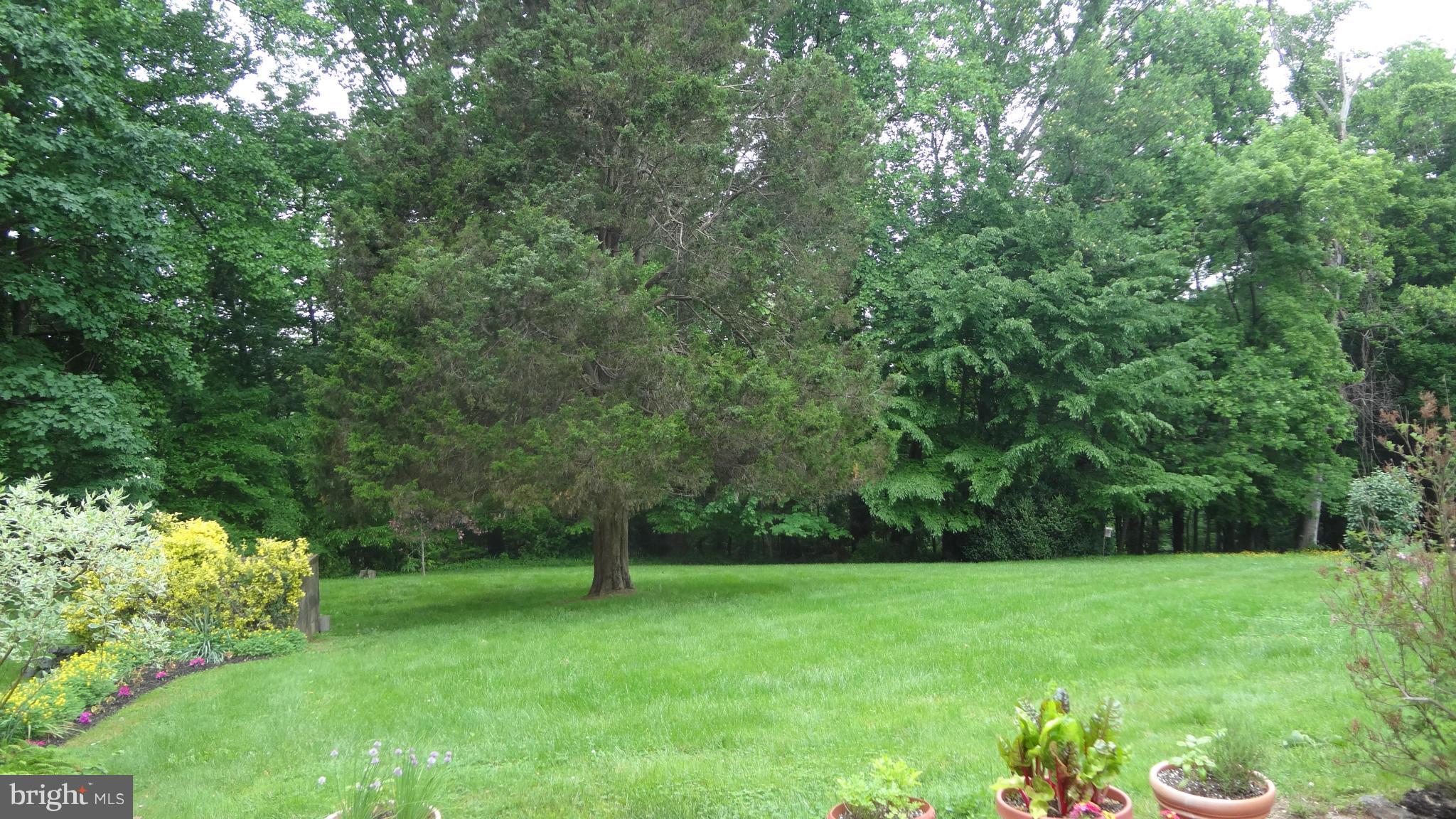 720 West Ring Factory Road Bel Air, MD 21015 - Photo 25 of 27 View - Backyard
