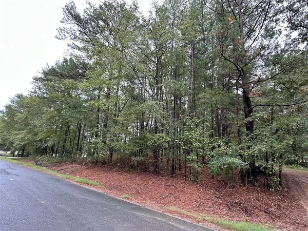 a view of a yard with a trees