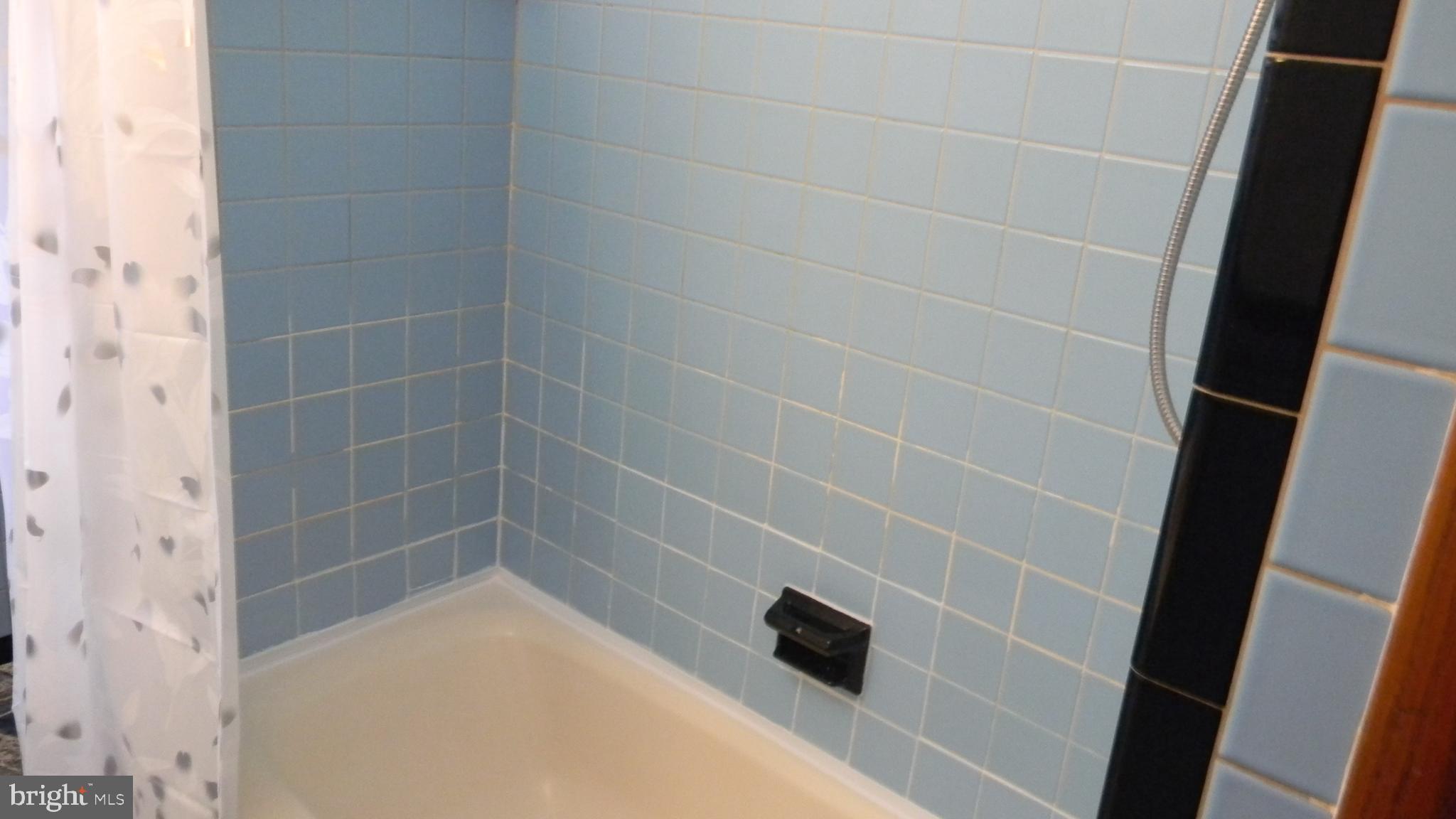 6688 Brocks Gap Road Broadway, VA 22815 - Photo 36 of 81 MAIN BATH