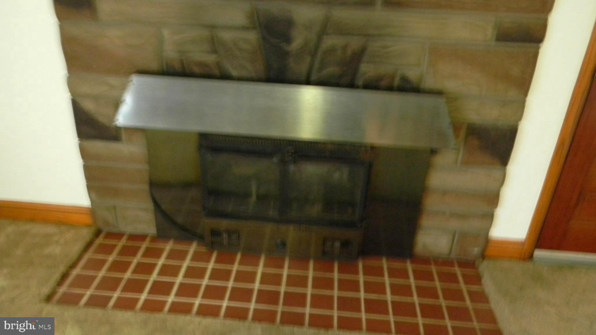 6688 Brocks Gap Road Broadway, VA 22815 - Photo 50 of 81 STONE FIREPLACE