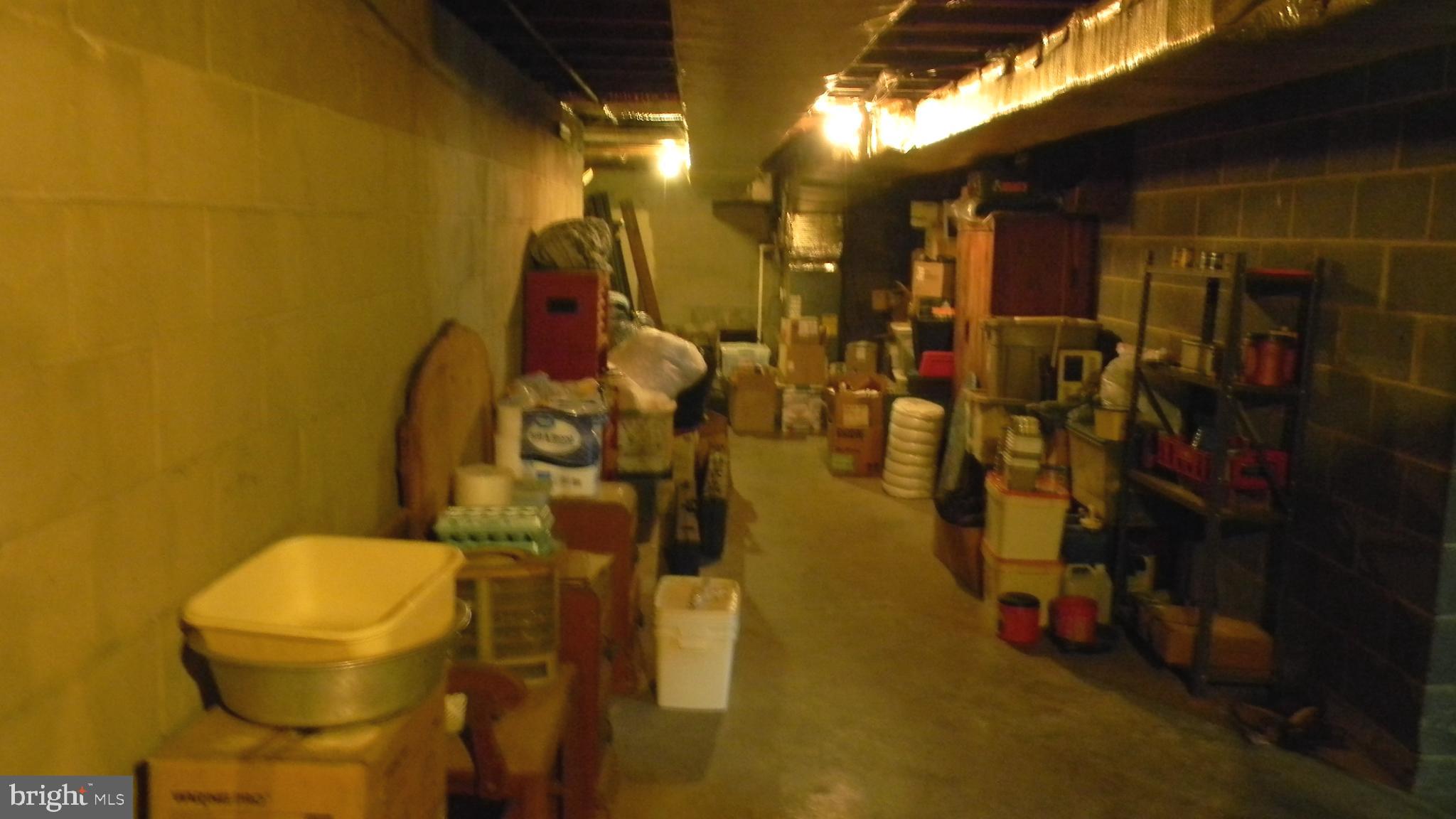6688 Brocks Gap Road Broadway, VA 22815 - Photo 65 of 81 UNFINISHED BASEMENT