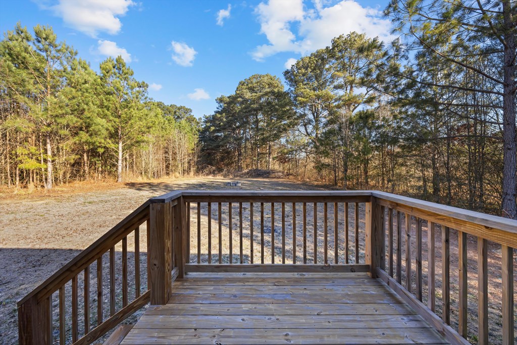 1717 Norton Bridge Road Chatsworth, GA 30705 - Photo 22 of 34 Gallery Image 22