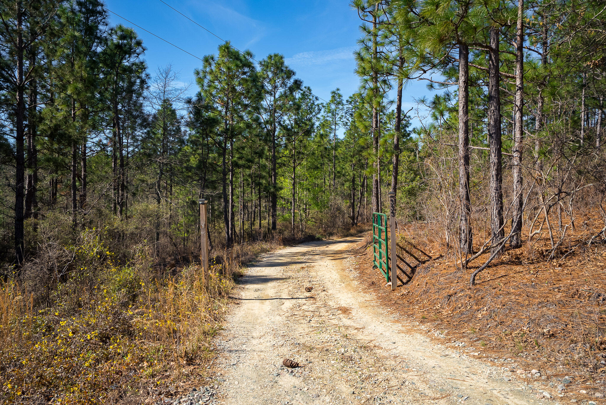 333 Outing Club Road Aiken, SC 29801 - Photo 47 of 56 ©MeghannPadgett_333OutingClubRd-46