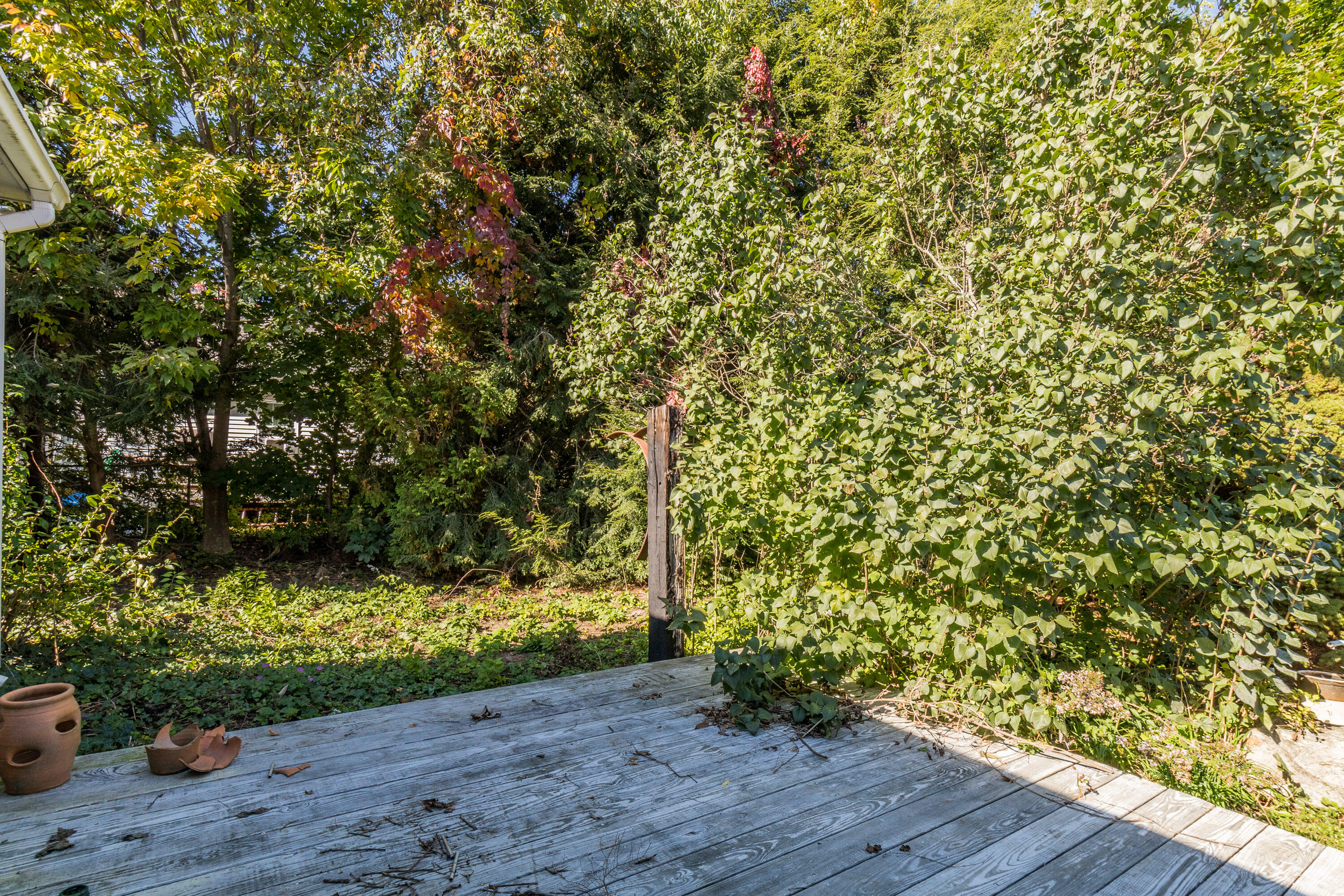 224 Middle Road Falmouth, ME 04105 - Photo 46 of 63 20211007ms-81066