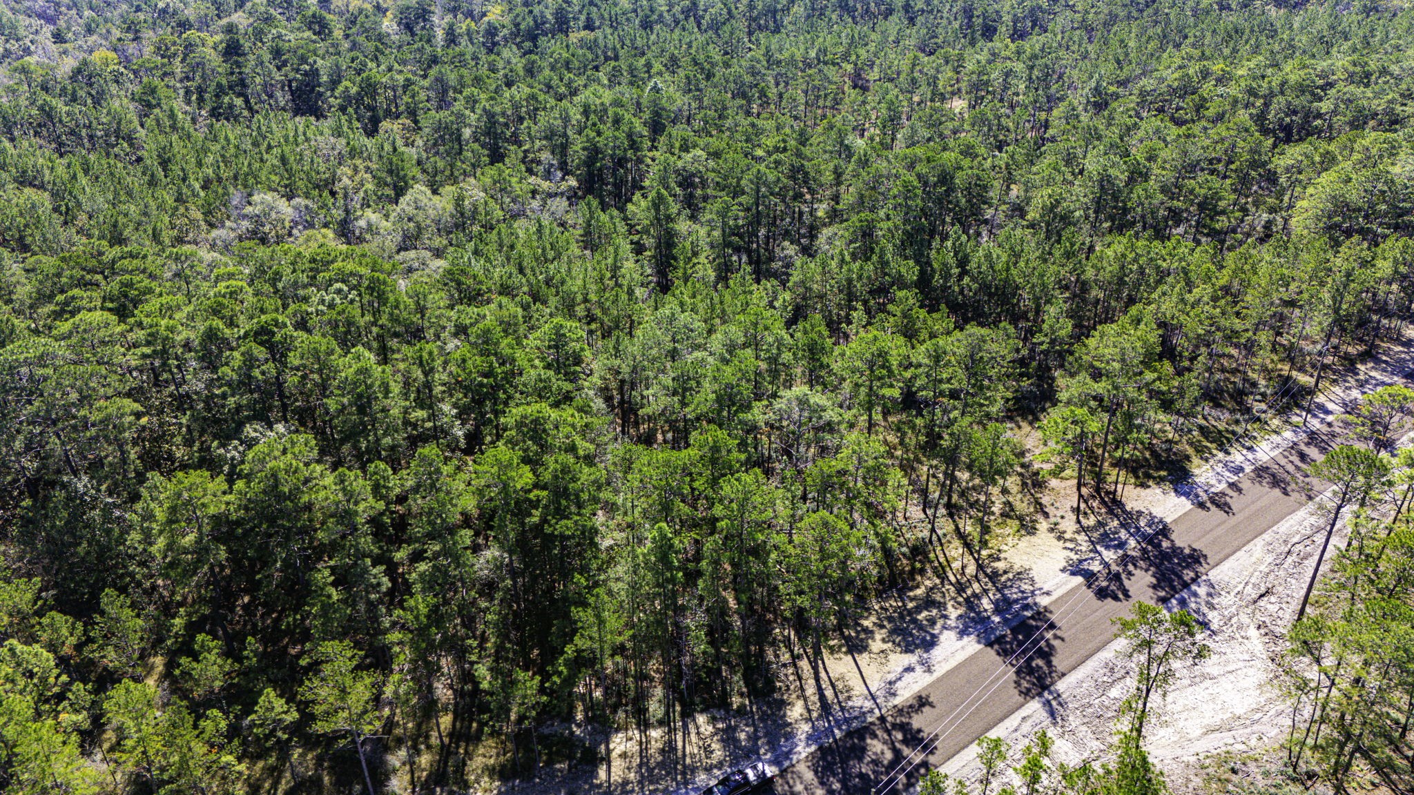34 Magnolia Ranch Road Onalaska, TX 77360 - Photo 2 of 10 a view of a lush green forest