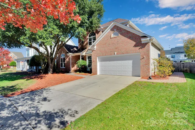 a view of a garden with a slide