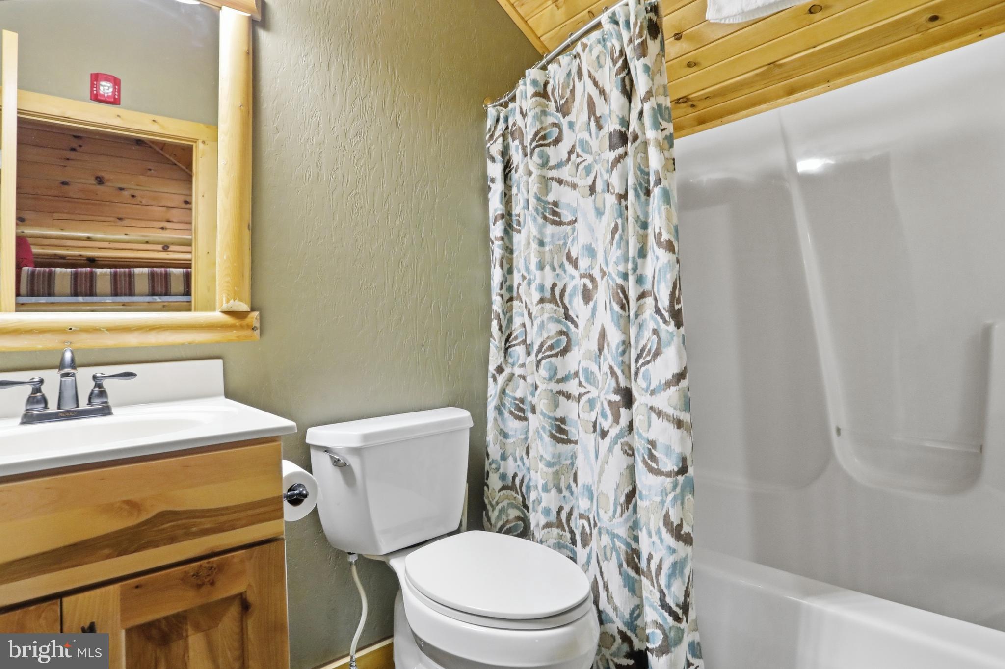 211 Cabin Lodge Road McHenry, MD 21541 - Photo 21 of 32