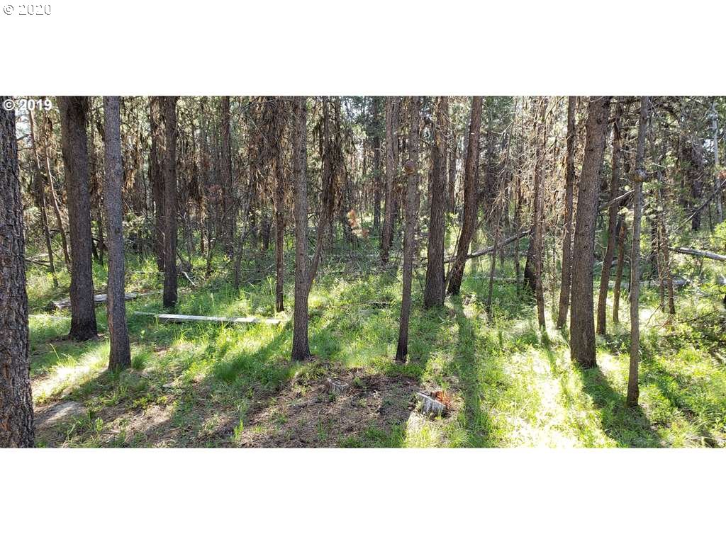 56270 Tree Duck Road Bend, OR 97707 - Photo 11 of 12