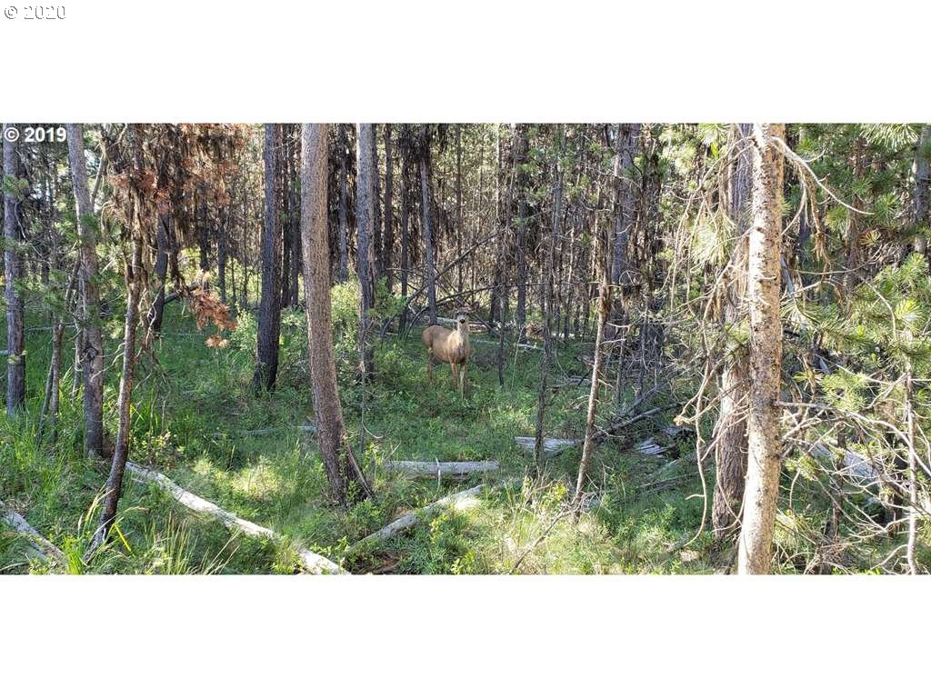 56270 Tree Duck Road Bend, OR 97707 - Photo 12 of 12