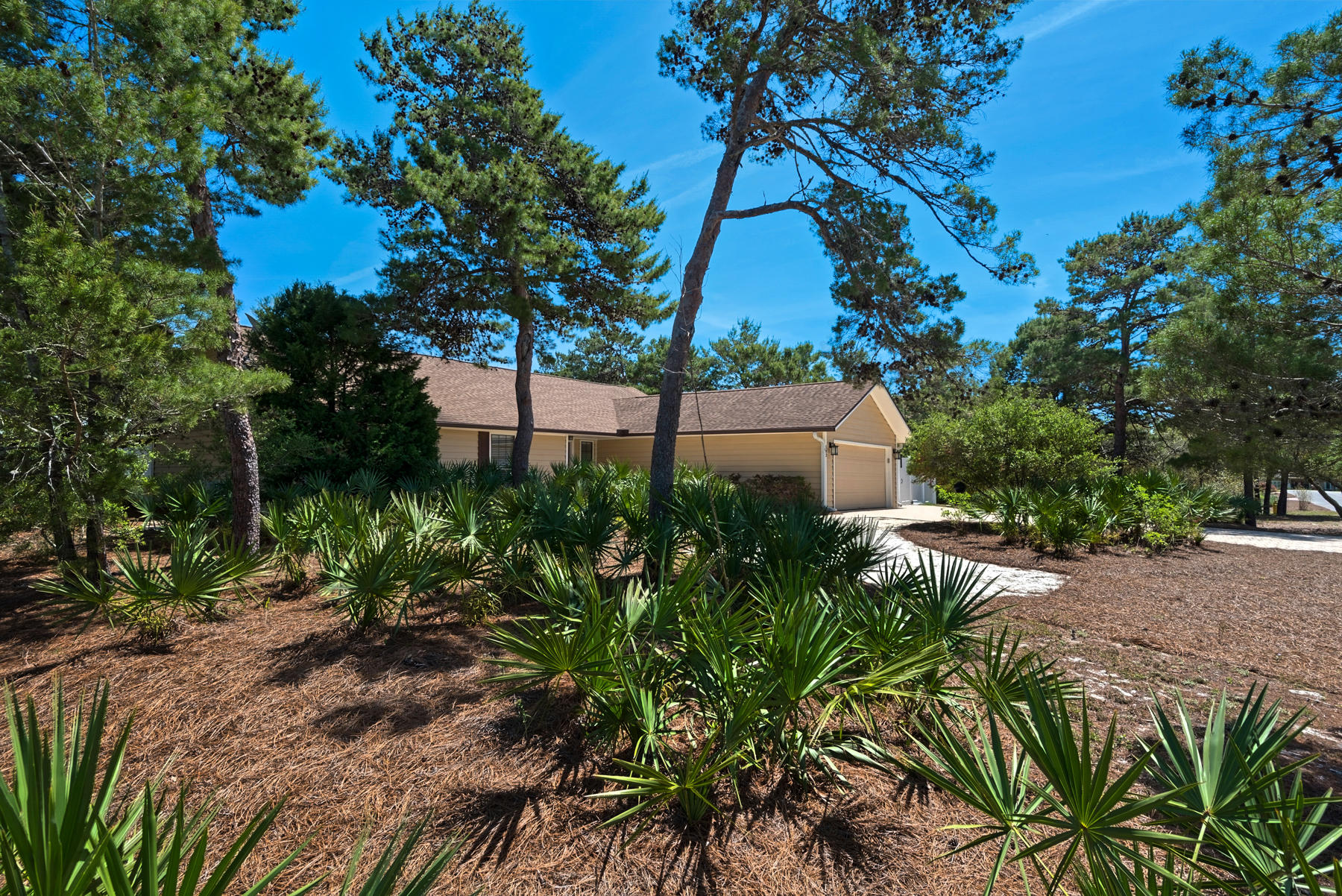 583 Ridge Road Santa Rosa Beach, FL 32459 - Photo 4 of 37 a view of a garden