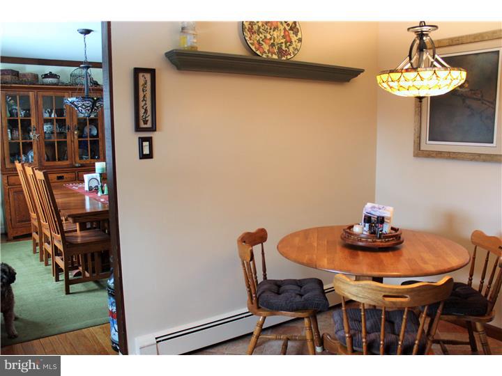121 Miller Drive Sinking Spring, PA 19608 - Photo 7 of 15 Kitchen
