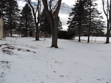 73955 Dequindre Road Leonard, MI 48367 - Photo 6 of 21 31339432-5.JPG