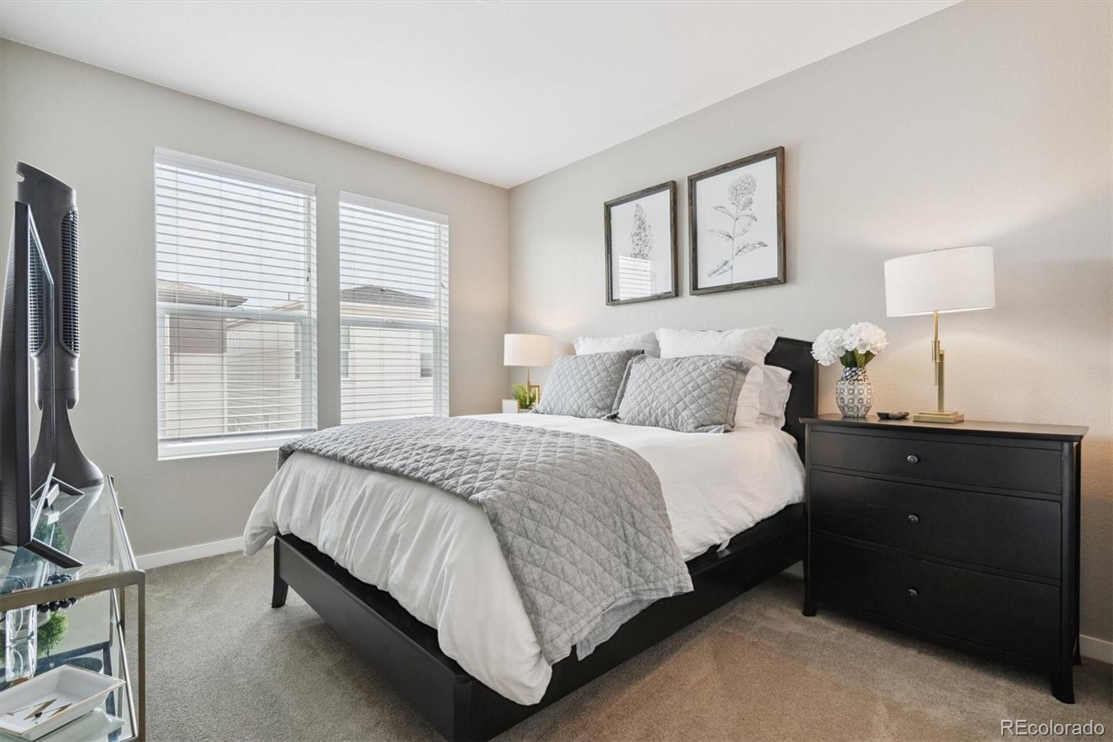 8883 Ramblestone Street Highlands Ranch, CO 80129 - Photo 25 of 39 Gallery Image 25