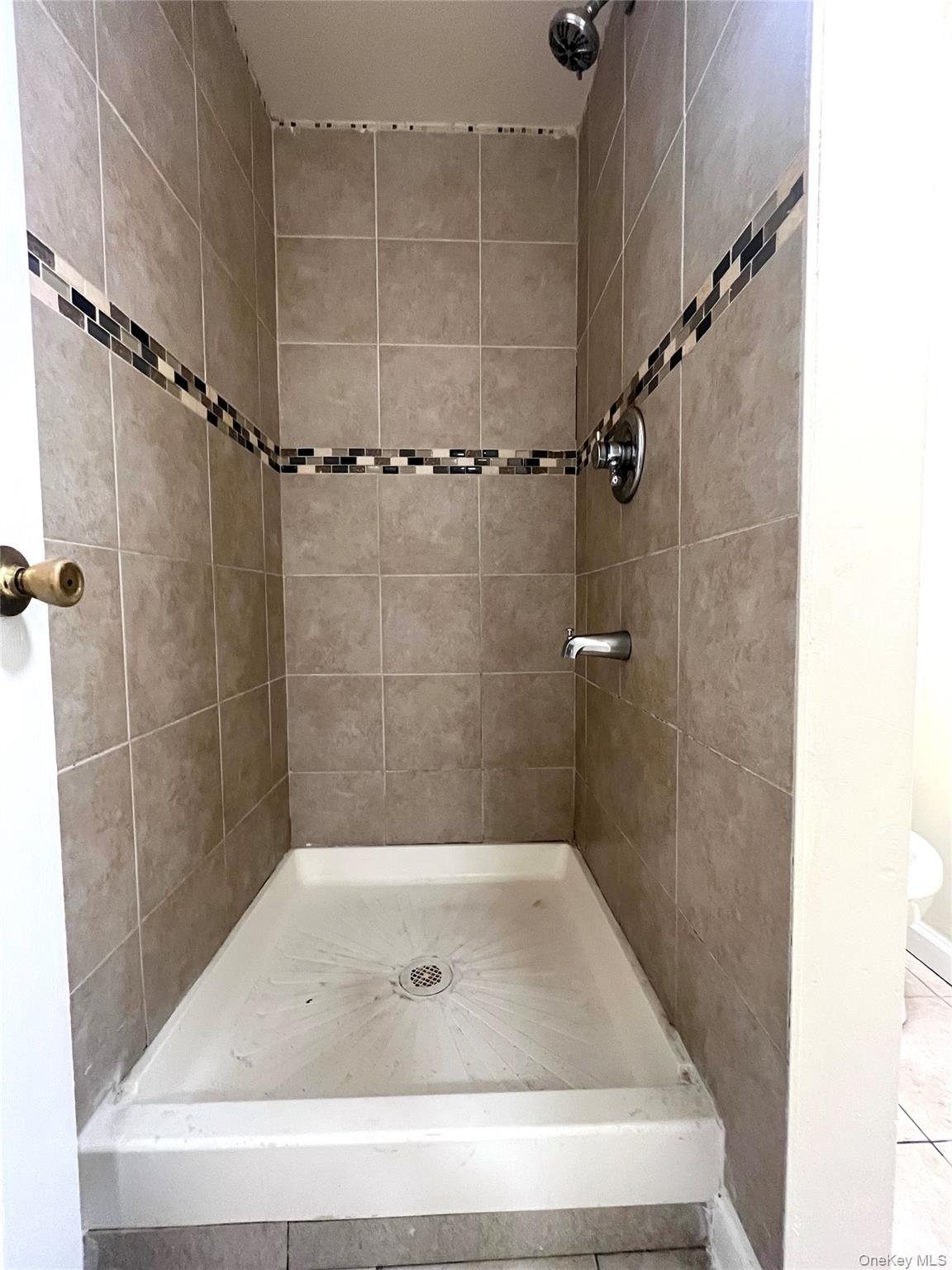 849 Montgomery Street Brooklyn, NY 11213 - Photo 6 of 7 a bath tub sitting next to a shower