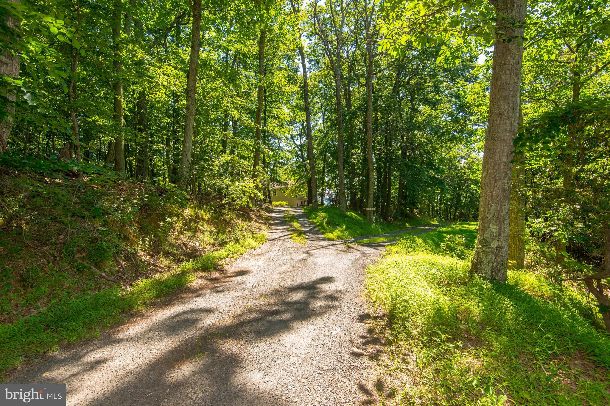 1619 Summit Drive Haymarket, VA 20169 - Photo 40 of 62 a pathway of a yard