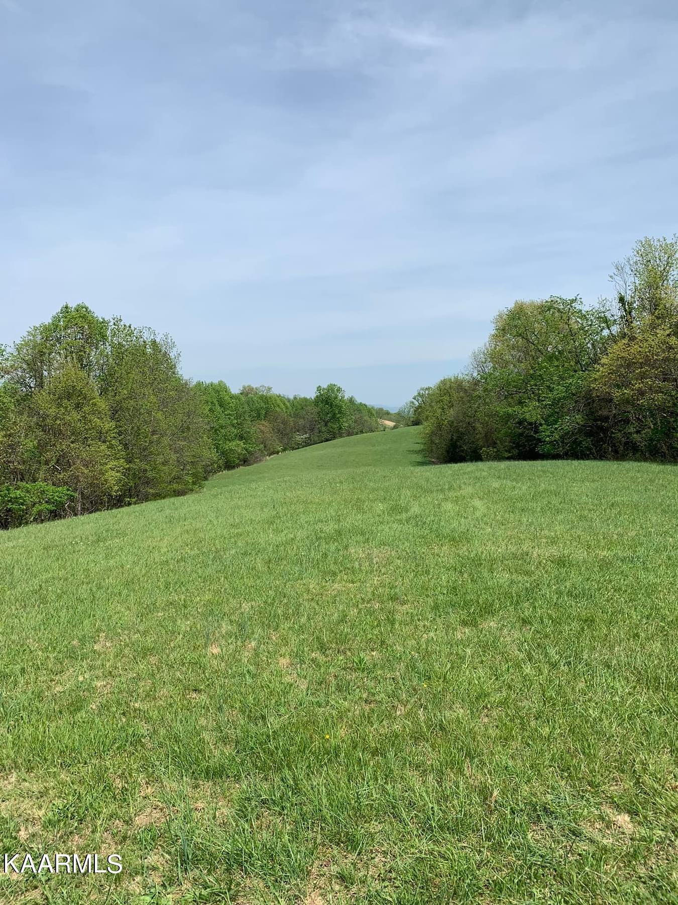39-acres Cunningham Road Tazewell, TN 37879 - Photo 49 of 53 1C9C8035-E4AD-4977-8306-59A0AC4A496A
