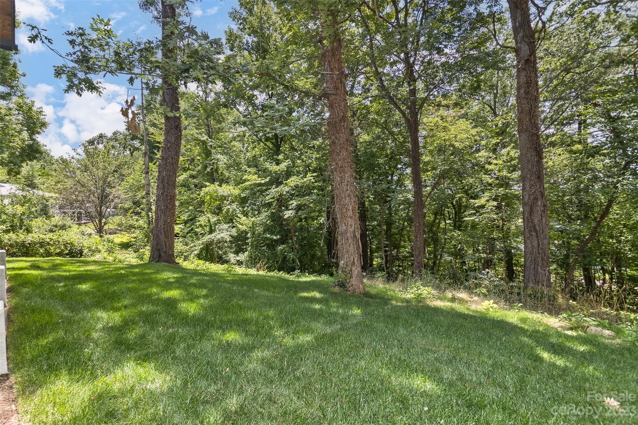 159 Gashes Creek Road Asheville, NC 28805 - Photo 47 of 48 a view of an outdoor space and trees