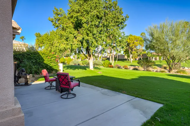 a view of a park with large trees