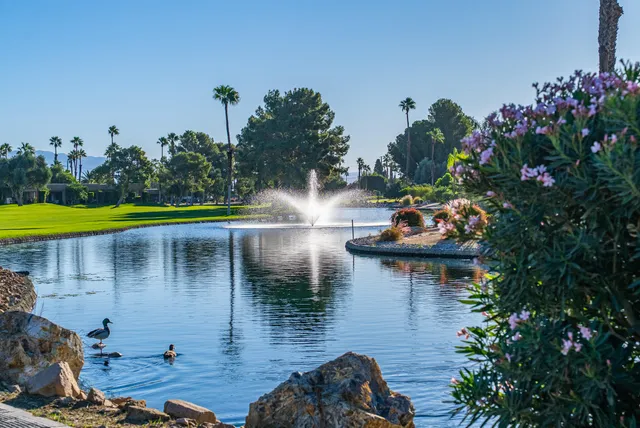 a view of a lake with a yard