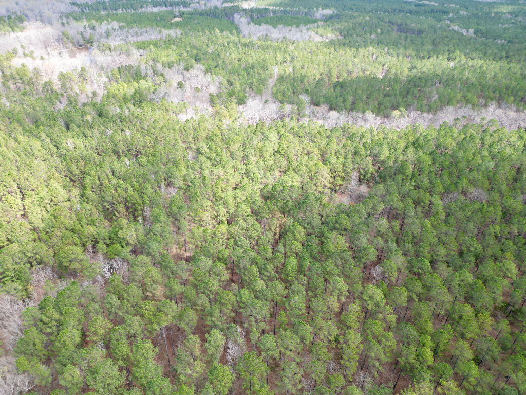 248 Walker Road Edgefield, SC 29824 - Photo 16 of 40 15