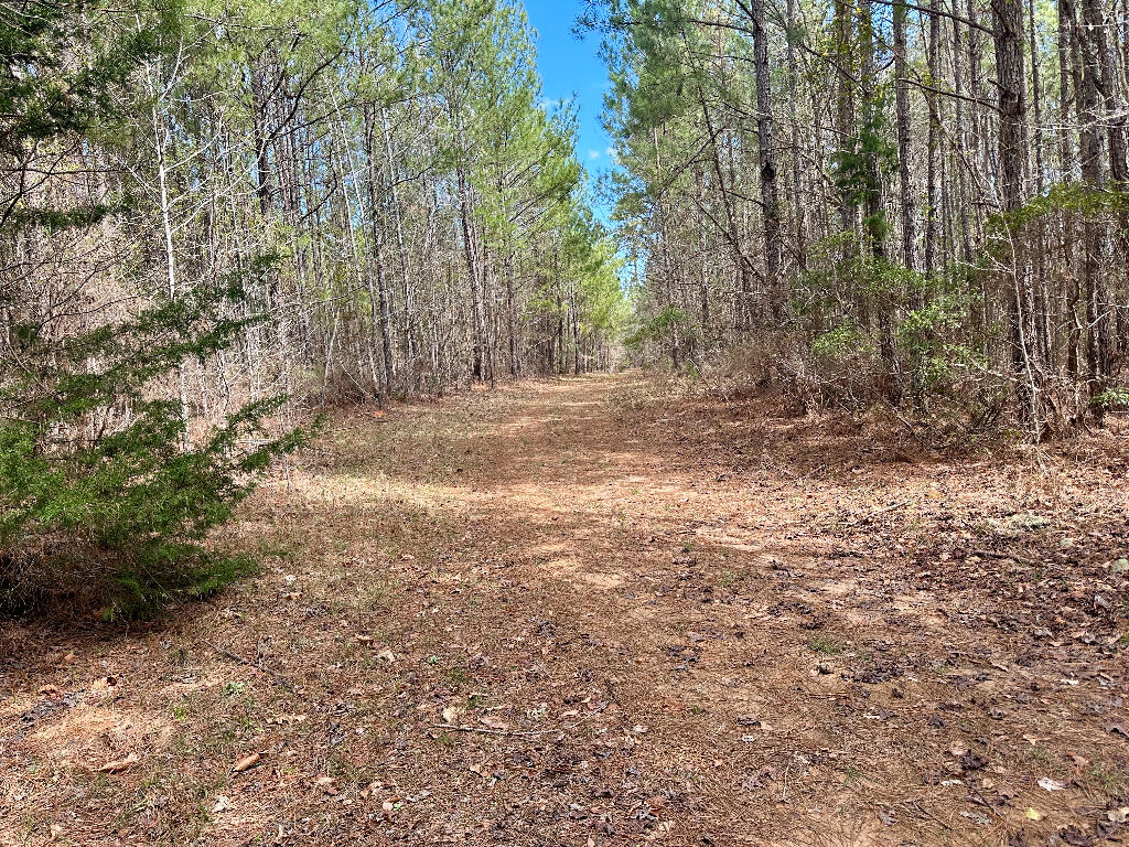 248 Walker Road Edgefield, SC 29824 - Photo 17 of 40 16