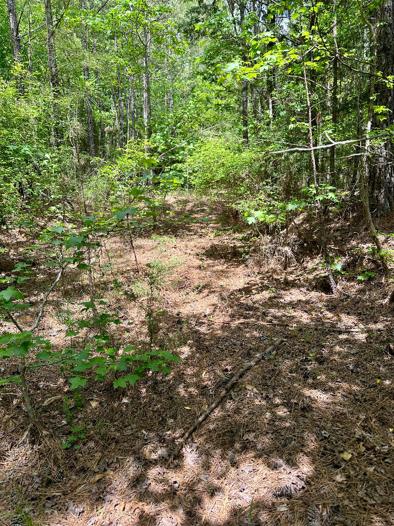 248 Walker Road Edgefield, SC 29824 - Photo 23 of 40 22