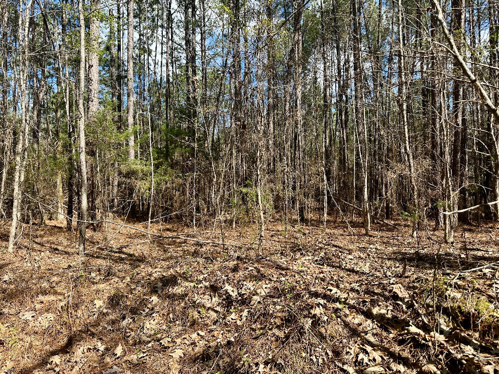 248 Walker Road Edgefield, SC 29824 - Photo 26 of 40 25