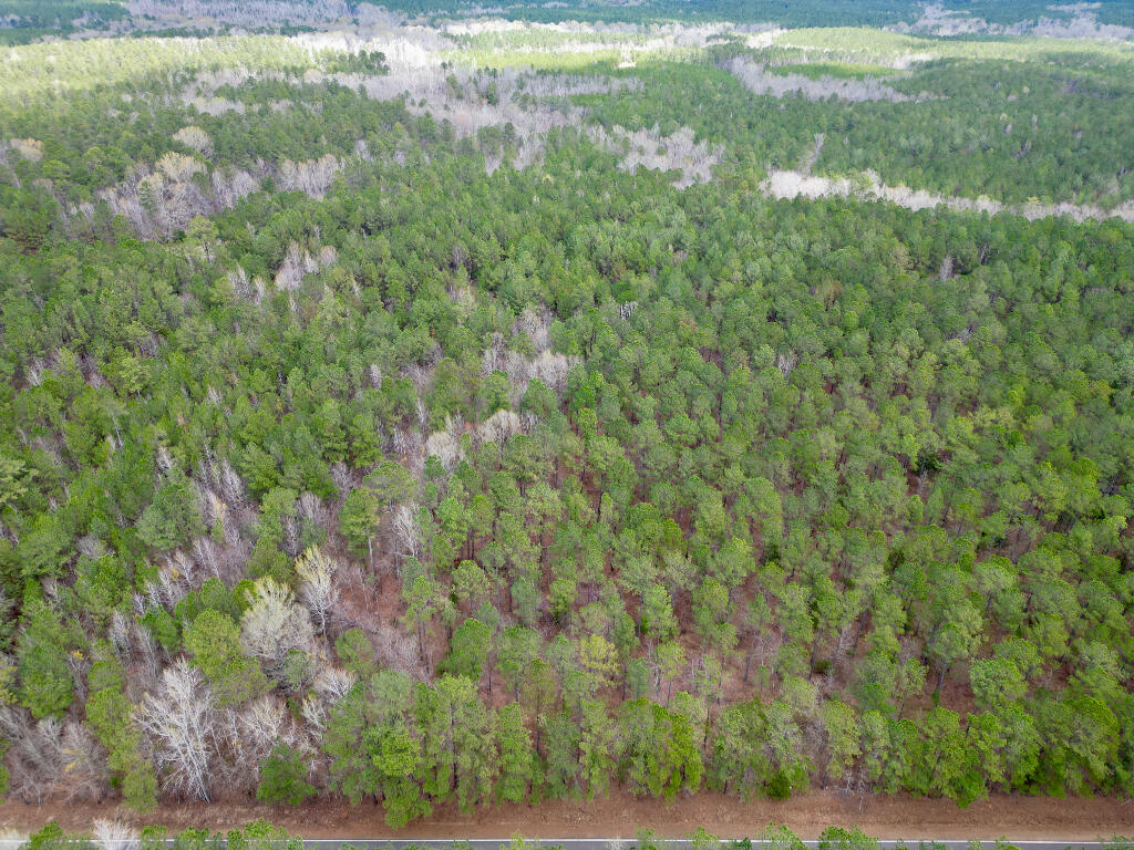 248 Walker Road Edgefield, SC 29824 - Photo 3 of 40 01