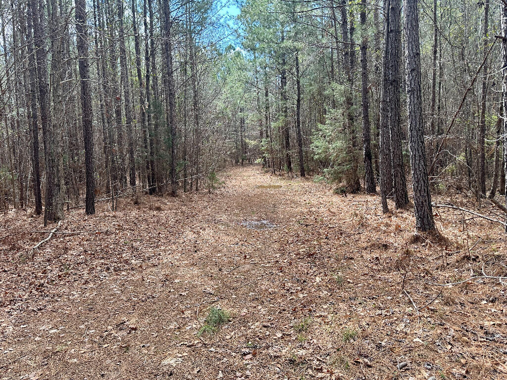 248 Walker Road Edgefield, SC 29824 - Photo 32 of 40 31
