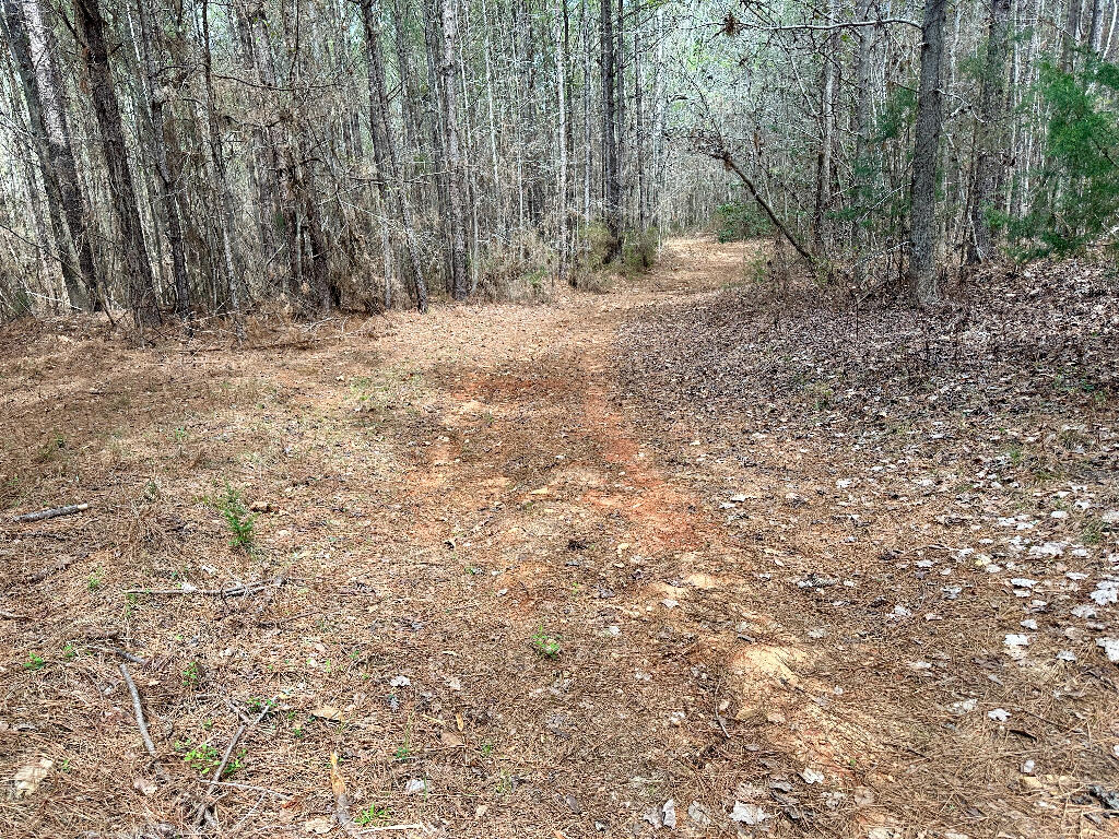 248 Walker Road Edgefield, SC 29824 - Photo 5 of 40 03