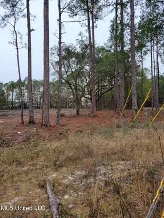 $175,000 | 0 Belle Fontaine Drive, Ocean Springs, MS 39564
