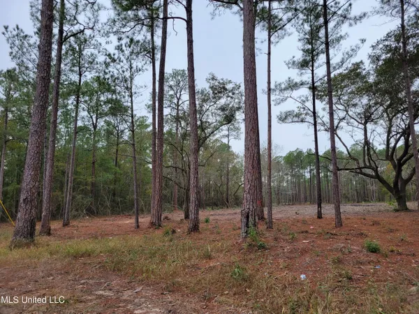 $175,000 | 0 Belle Fontaine Drive, Ocean Springs, MS 39564