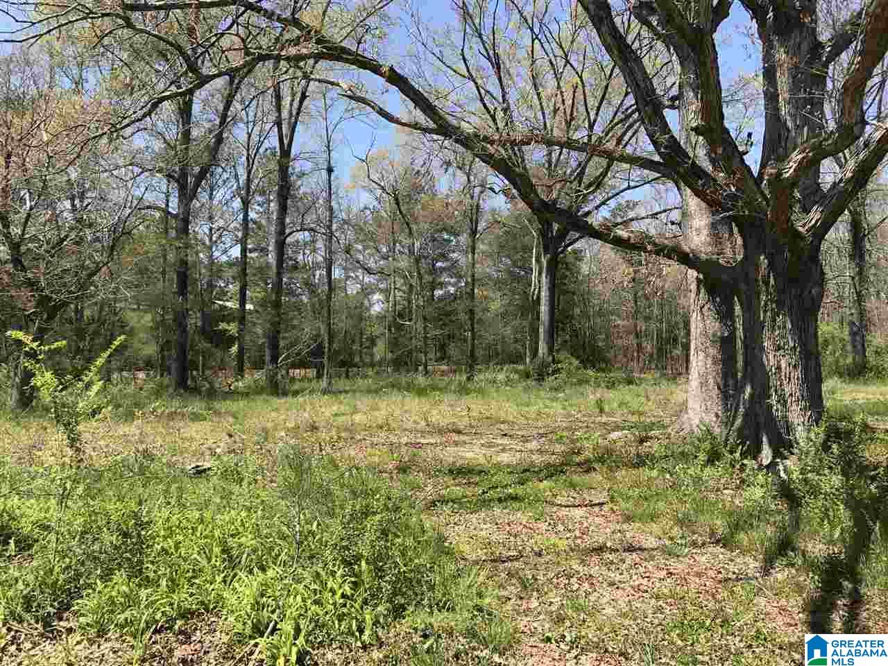 4133 Roy Webb Road, Unit 1 Jacksonville, AL 36265 - Photo 3 of 40