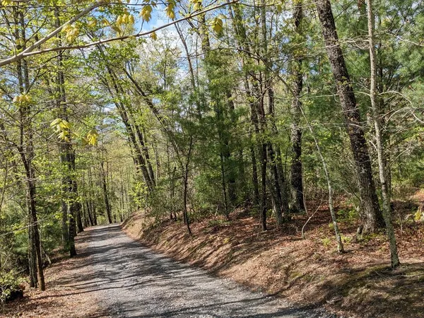$33,000 | Lot 7 Caddis Trail, Hayesville, NC 28904