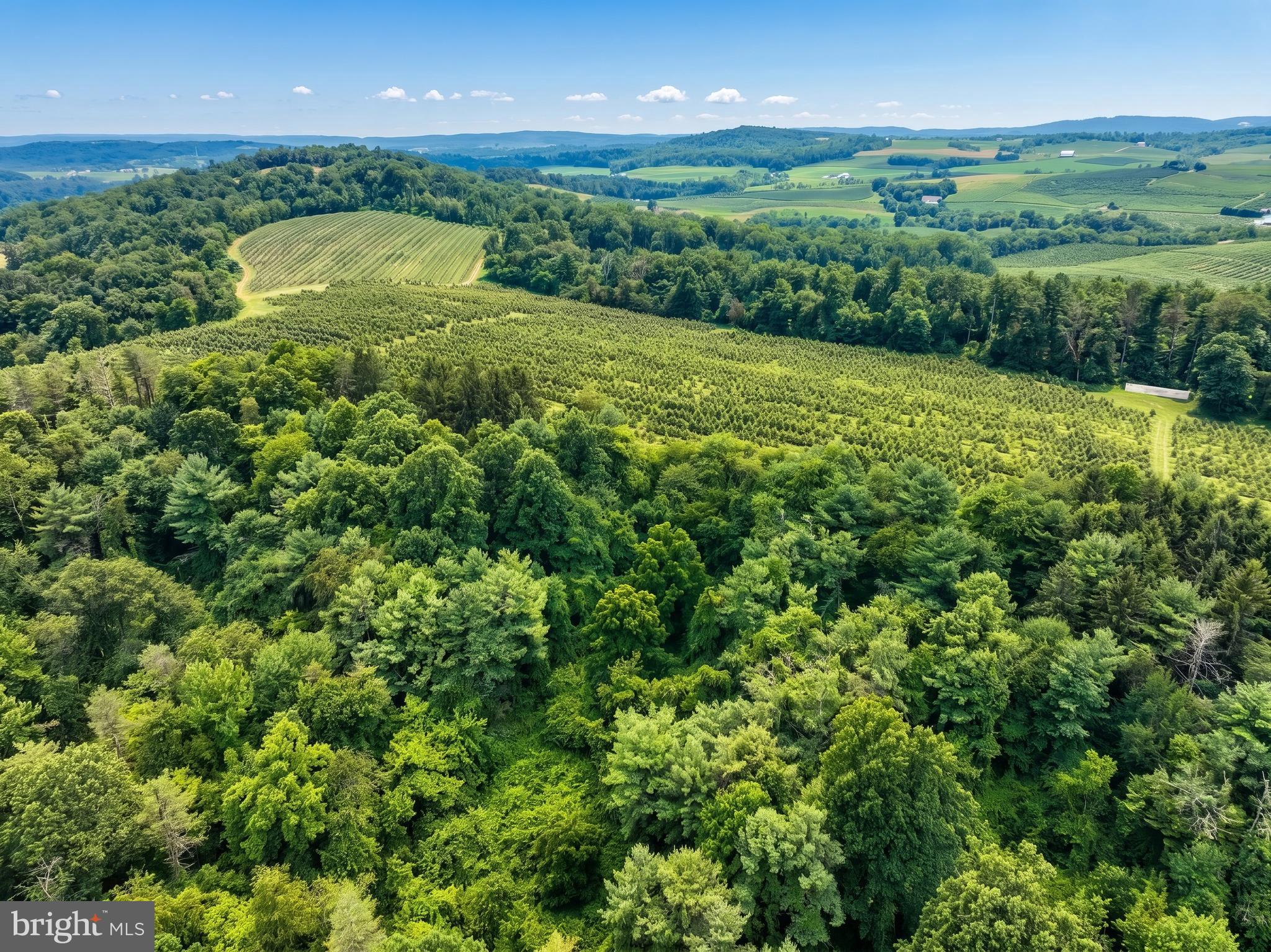 700 White Oak Tree Road Gardners, PA 17324 - Photo 63 of 71