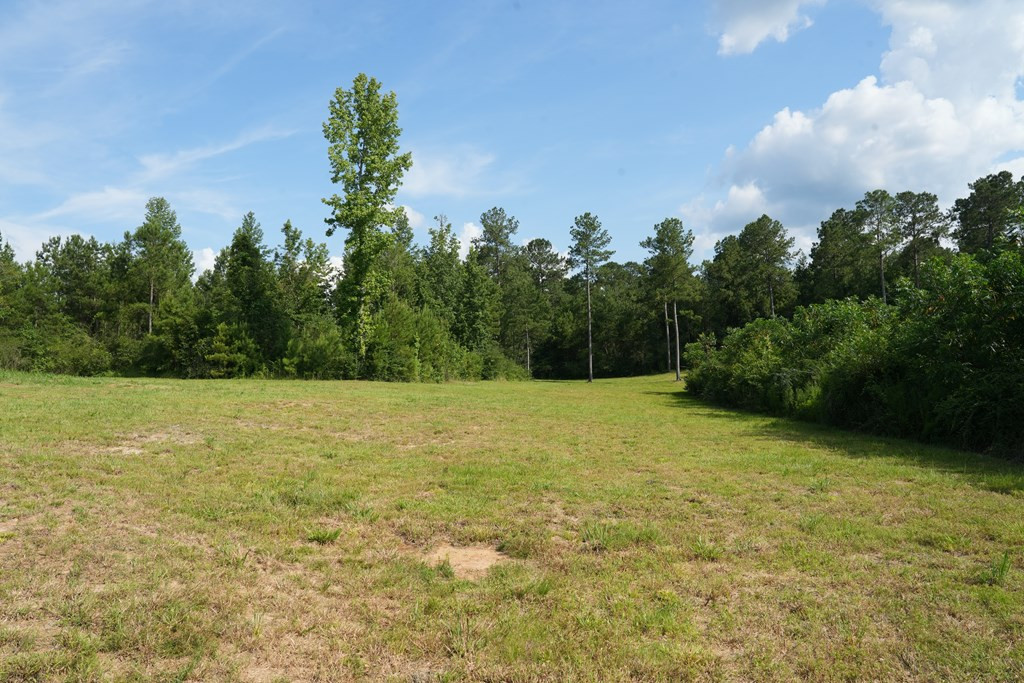 583 Jayess Ms 39641 Ruth, MS 39662 - Photo 13 of 19 Photo 13
