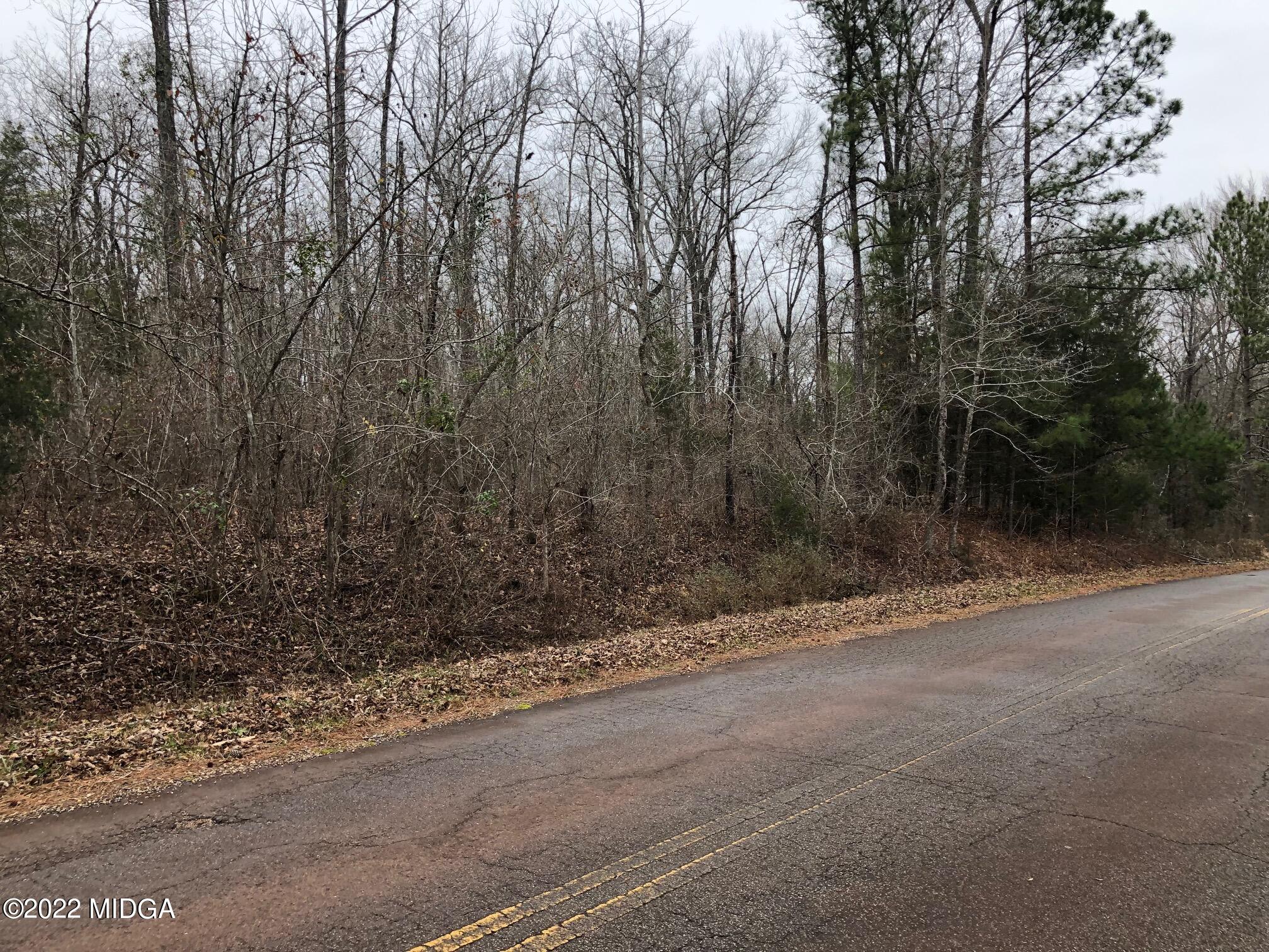Tract A Bush Road Barnesville, GA 30204 - Photo 2 of 9 IMG_9343