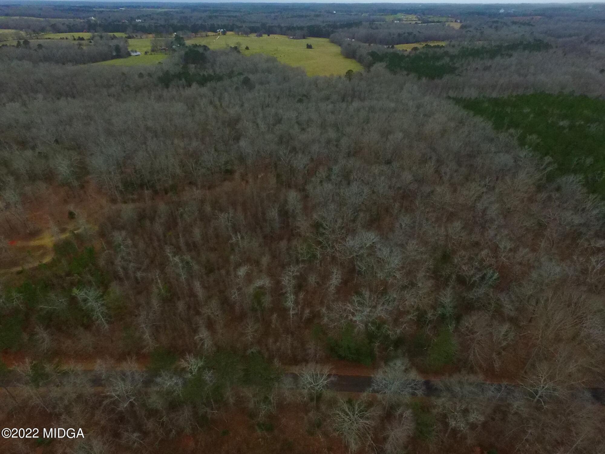Tract A Bush Road Barnesville, GA 30204 - Photo 5 of 9 IMG_6440