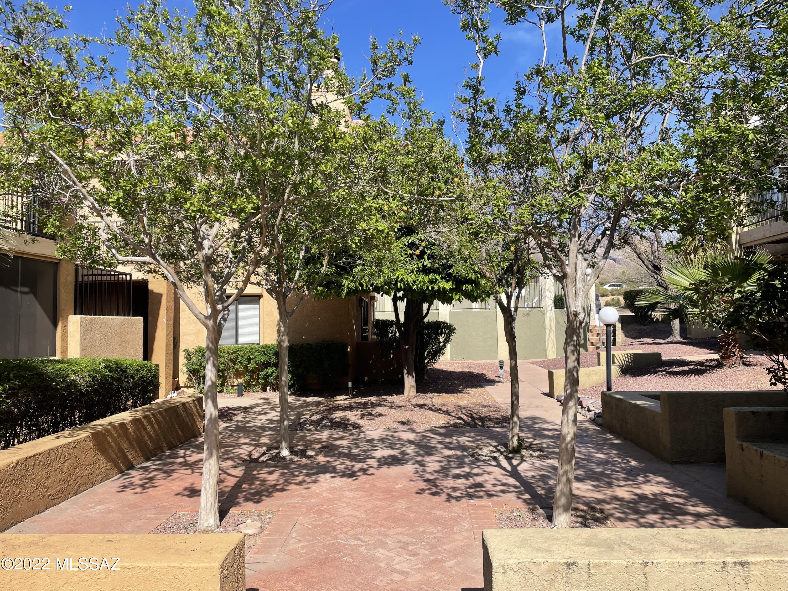 8271 North Oracle Road, Unit 249 Tucson, AZ 85704 - Photo 21 of 23