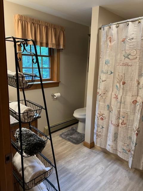 304 Chases Pond Road York, ME 03909 - Photo 52 of 56 IMG_3024