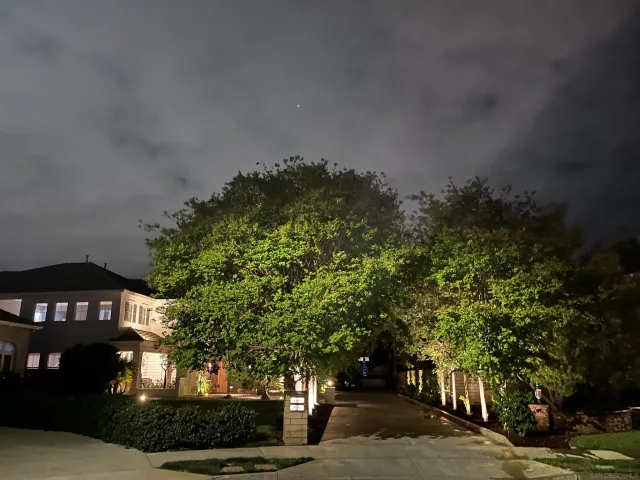 a view of a house with a tree