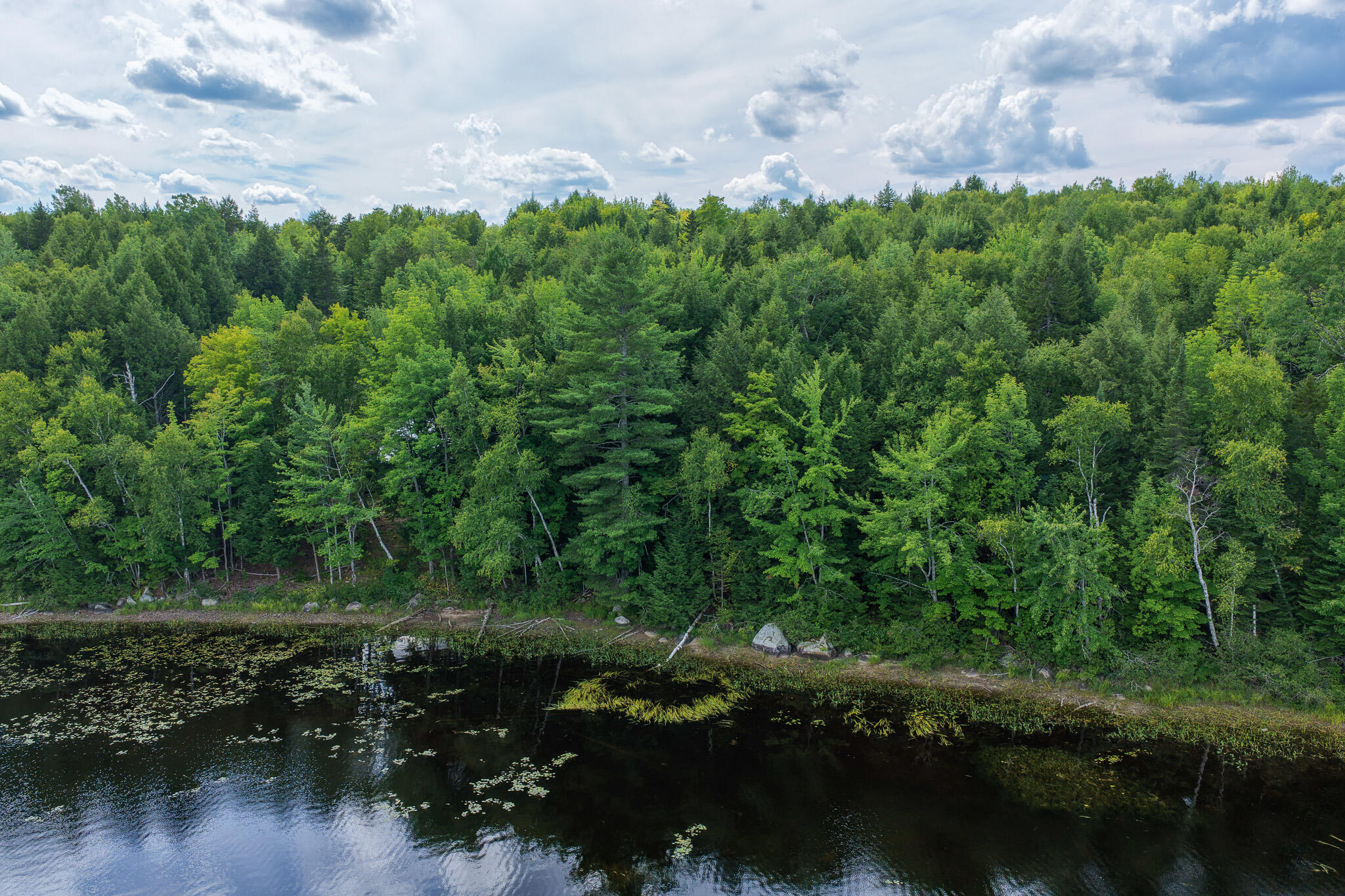 7 Hammie Road Mattawamkeag, ME 04459 - Photo 6 of 15 6