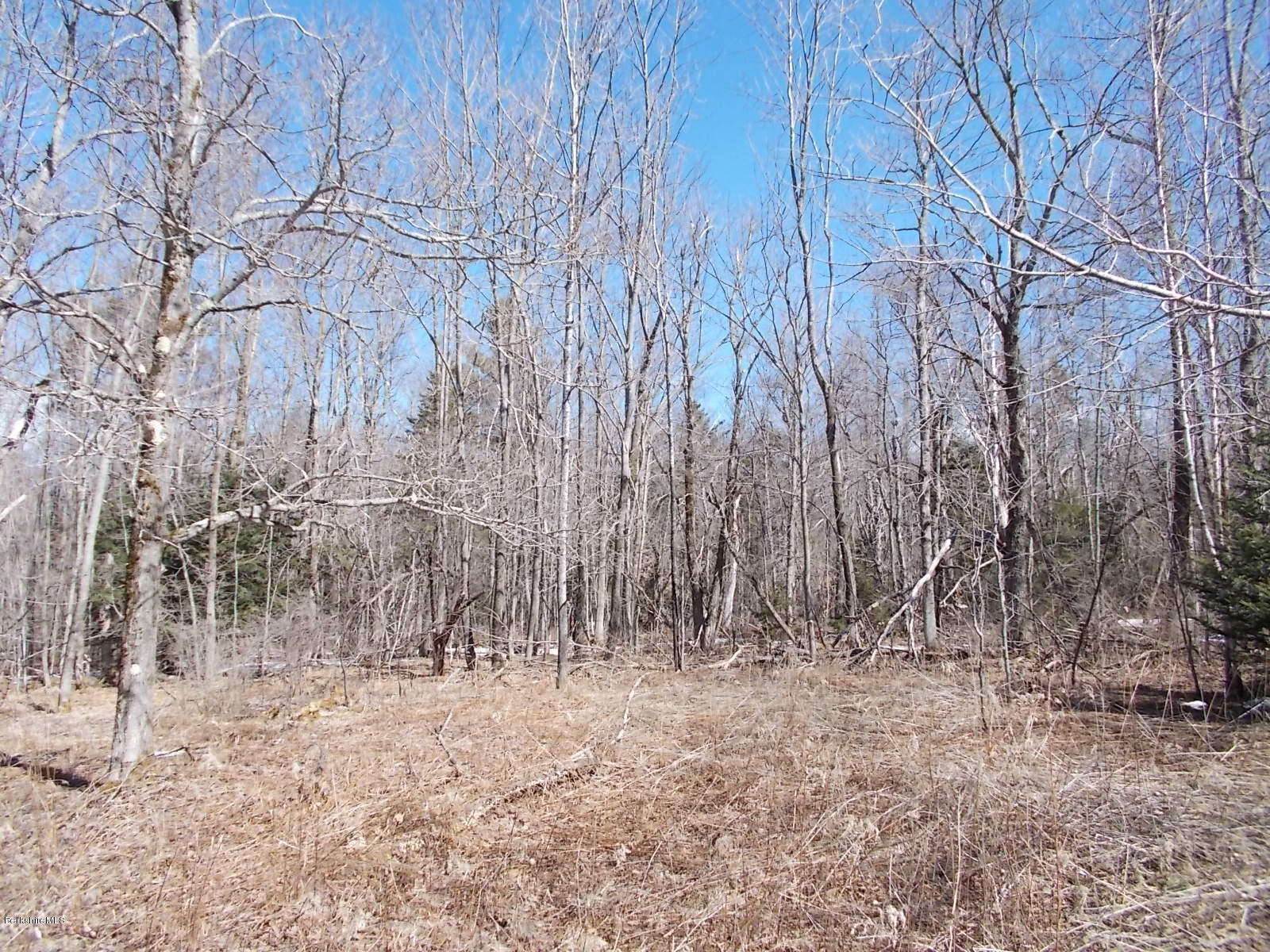 August Smith Road Hinsdale, MA 01235 - Photo 1 of 6 August Smith Land