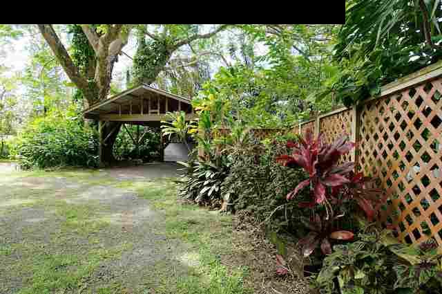 490 Kaupakalua Road Haiku, HI 96708 - Photo 22 of 30 a view of a garden with a bench and some plants
